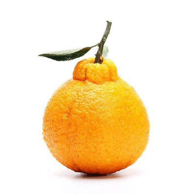 四川丑橘子水果净重5斤大果9个左右新鲜丑八怪不知火丑柑眉山丹棱丑桔子 .
