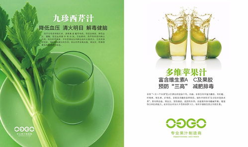 广州饮料果汁画册设计 饮品类画册设计公司